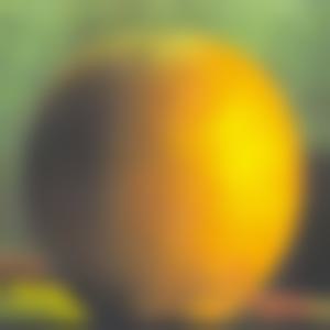 orange_gaussian_2