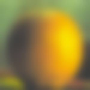 orange_gaussian_4