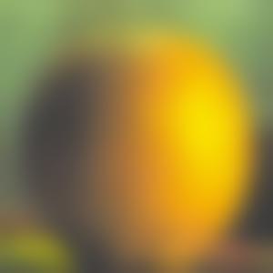 orange_gaussian_5