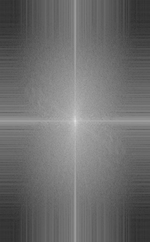 steak_low_fourier